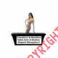 6frec-090111 Linen Tablecloth Black Table Scrim Fitted Cover Djs Trade Shows Catering Weddings Events 848323008064