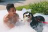 B00r6uwbw2 Partymachines Powerful Foam Party Super Machine With Siphon 7034246509433