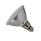 Q250par38sp Light Spot Brand Aps Quartz Bulb250w Par38