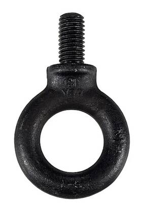 The Light Source Eb.5-13x1.00-azb 1/2-13 X 1 Eye Bolt