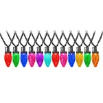 Gemmy Lightshow 24 23 Ft C9 Motion Multicolor Led. Fixed Price $44.99.