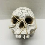 Gemmy Skull Plays Theme From Halloween Loud & Clear Motion Activated Video Rare. Fixed Price $79.17.