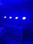 Martin Mac 600 Wash Lights - 17 Fixtures. Fixed Price $3000.00.