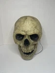 Video Nwt Gemmy Halloween Rotten Skull With Phrases Animated Talking Rare Htf. Fixed Price $49.99.